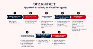 Doanh nhân sẽ đi qua 8 bước của Quy trình Tư vấn Phát triển Dự án Khởi nghiệp SUV (Start-up Visa) để thành công khi tham gia chương trình Start-up Visa